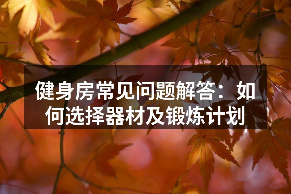 多种运动器材供选择