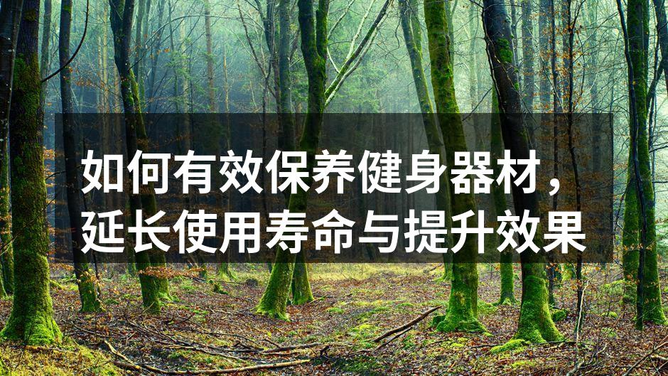 定期清洁跑步机是保养的关键