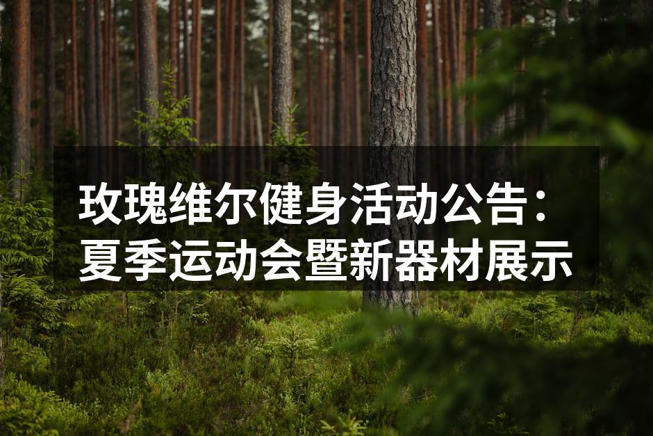 夏季运动会热情洋溢