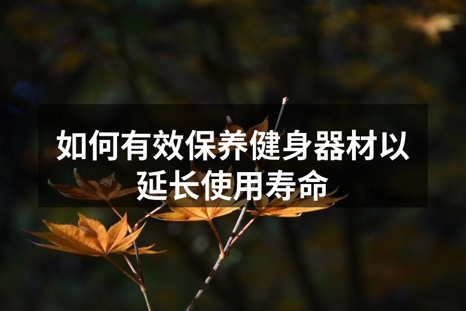 定期清洁确保器材卫生
